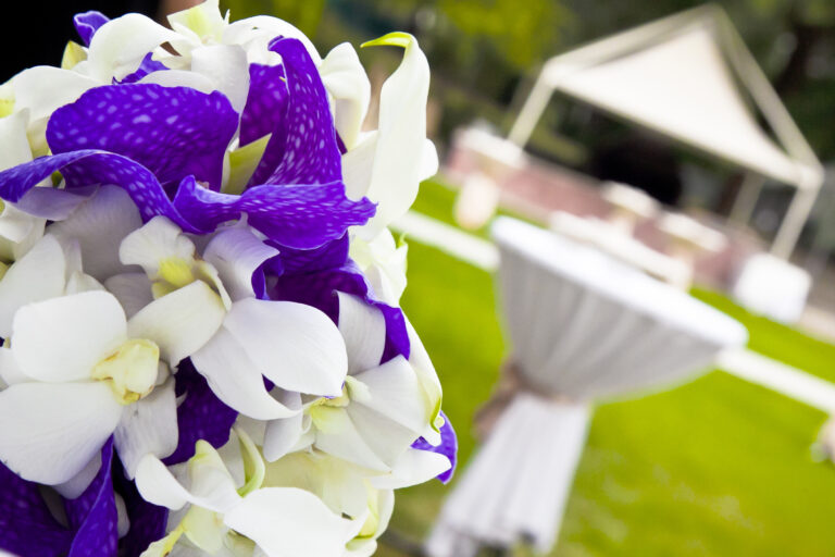 Outdoor party with beautiful white and purple flowers, tables with white linens and tent